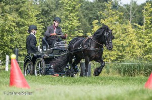 dressuur en vaardigheid  nienoord 10-8-2015  joshua keller-0135      